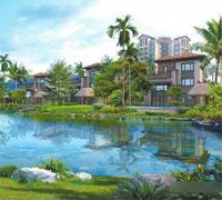 吉報(bào)海花盛景